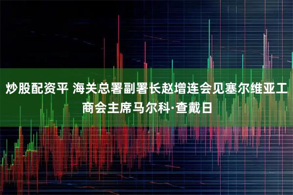 炒股配资平 海关总署副署长赵增连会见塞尔维亚工商会主席马尔科·查戴日